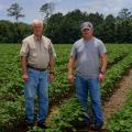 Two men standing in a row crop.