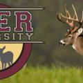 Deer University logo showing buck with huge rack.