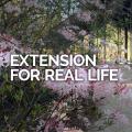 Extension for Real Life header image