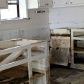 A kitchen with white walls and cabinets shows severe flood damage, including mold damage, on floors and cabinets with doors and drawers removed.