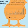 An illustration depicts a large yellow chick with a graph showing the number of Salmonella outbreaks since 2000 and includes text instructions to wash hands after handling backyard poultry. 