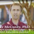 headshot of Dr. Jay McCurdy, PhD