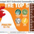 An artist representation of the top 5 agricultural commodities in Mississippi with a drawing of a large white chicken dominating the image.