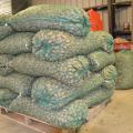 About a dozen large, 50-pound bags of unshelled pecans are piled on top of a wood palet.