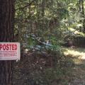 A sign nailed to a pine tree in a wooded area that reads, “POSTED PRIVATE PROPERTY.”