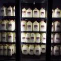 Three grocery store fridge doors are stocked with 1- and 2-gallon jugs of milk with red tops and labels.