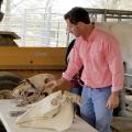 A man stands behind a table while demonstrating equine dental equipment on two horse skulls.