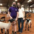 A daughter and her mother wearing masks in a rodeo building with two lambs leashed beside them.