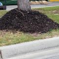 A tall, thick layer of mulch around the base of a tree.