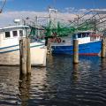 shrimp boats in the dock