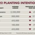 Graphic of planting intentions