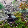 A stone and steel ant sculpture is beside a path through moss.