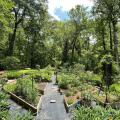 A garden is divided into raised beds with wide paths between them.