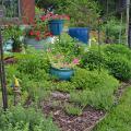 Blue containers hold plants in a landscape.