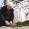 Randy Rousseau, a Mississippi State University Extension forestry professor in the Forest and Wildlife Research Center, examines pine seedlings in an MSU greenhouse Feb. 18, 2015, in Starkville, Mississippi. He administers a program designed to encourage landowners to invest in better seedlings so they can see for themselves that the results are worth the much higher initial cost. (Photo by MSU Ag Communications/Kat Lawrence)