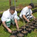 Keenan Watkins (left) and J.D. Rodgers check tree seedlings they planted in the forestry course offered by the Mississippi State University Extension Service at the Chickasaw County Regional Correctional Facility near Houston, Mississippi. This photo was taken on April 20, 2015. (Photo by MSU Ag Communications/Linda Breazeale)