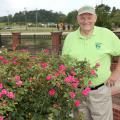 Oktibbeha County Master Gardener Charlie Weatherly pauses July 23, 2015, beside some of flowers growing in the Veterans Memorial Rose Garden, which he helped establish at the R.R. Foil Plant Science Research Center at Mississippi State University. (Photo by MSU Ag Communications/Kat Lawrence)
