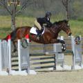 Alli George, a junior from Memphis, Tennessee, and Eventing Team vice president, competes with her horse, Belle of the Ball, in the show jumping phase of an eventing competition in Fairburn, Georgia, held April 4-5, 2015. (Submitted Photo)