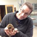 Andrew Kouba, the new head of the Mississippi State University Department of Wildlife, Fisheries and Aquaculture, holds a slender loris. (File photo)