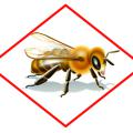 The bee hazard icon and accompanying label information are designed to provide warnings and information that will allow chemicals to be used against pests while protecting pollinators from exposure. (Graphic by Environmental Protection Agency)