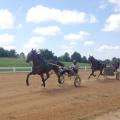 Harness racers take a practice run around the newly renovated track at the Mississippi Horse Park near Starkville. On May 22, sanctioned races will return to the complex, which is a division of the Mississippi State University Extension Service. (Submitted photo)