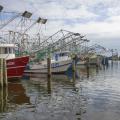 Shrimp boats at rest in the Biloxi Small Craft Harbor in Biloxi, Mississippi, Jan. 25, 2016. (Photo by MSU Extension Service/Kevin Hudson)