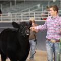 Jones County 4-H member Rustin Anderson, 17, exhibits his grand champion Brangus heifer on Oct. 22, 2016 at the State Fair in Jackson, Mississippi. (Submitted photo by Brianna Stroud)