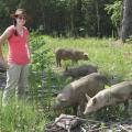 Ali Fratesi Pinion raises pigs as a healthy source of local meat and manages them to benefit the soil on her Clay County farm. (MSU Extension Service file photo/Kevin Hudson)