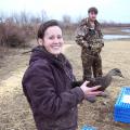 Mississippi State University graduate student Kira Newcomb, left and technician Scott Bearden release female black ducks fitted with very high frequency radio transmitters on Feb. 3, 2011, at the Duck River Unit of Tennessee National Wildlife Refuge in New Johnsonville, Tenn., as part of her research on the ducks' declining population. (Submitted Photo)