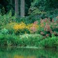 Joe Pye weed and Goldsturm rudbeckia partner well in this lakeside planting, looking impressive even from a distance.