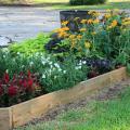 Treated lumber, such as 2-by-6-inch boards, makes constructing raised beds quick and easy. (Photo by MSU Ag Communications/Gary Bachman)