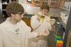 Mississippi State University biological engineering students Sam Pote of Starkville, left, and Caleb Dulaney of Collinsville conduct their research project on isolating an enzyme that initiates lignin breakdown in plant cells. (Photo by Marco Nicovich)