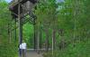 Crosby Arboretum's natural landscape not only provides visitors with beautiful views in its 104-acre native plant center, but it also protects rare and threatened plant and animal species, and disappearing habitats. (Photo by Edward Blake Jr./The Landscape Studio)