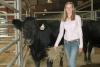 Bonnie Tartt, 18, daughter of beef producers Beth and Steve Tartt of Meridian, treats Malley to hay after competing at the 4-H Heifer Improvement Contest in Raymond. (Photo by MSU Ag Communications/Patti Drapala)