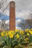 Daffodils frame the Chapel of Memories clock tower at Mississippi State University. (Photo by MSU Ag Communications/Kat Lawrence)