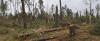 Timber was heavily damaged in Choctaw County. This photograph was taken near the Weir community on April 30. Photo by Scott Corey.