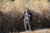 Freedom Giant Miscanthus was developed at Mississippi State University and is licensed exclusively to Repreve Renewables, a joint venture between sod entrepreneur Phillip Jennings (pictured) and publicly traded textile company UNIFI Manufacturing, Inc. (Photo by Kat Lawrence)