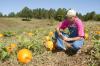 Michael May of Lazy Acres Plantation in Chunky uses social media to connect with visitors to his agritourism business which includes a pumpkin patch, corn maze, petting zoo and Christmas tree farm. (Photo by Kat Lawrence)