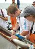 Mississippi State University wildlife biology student Wesley Burger measures a shark caught near Horn Island during a sampling trip for his shark biology class at the Gulf Coast Research Laboratory. Burger became interested in this career through a 4-H wildlife project. (Submitted Photo)