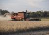 These soybeans in Oktibbeha County were part of the crop that set a record yield of 45 bushels an acre in 2012 and 2013. The crop increased in value by $1 billion over six years. (Photo by MSU Ag Communications/Scott Corey)