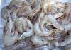 Cool temperatures delayed the start of shrimp season in Mississippi's coastal waters until June 11, but if conditions hold, the crop is predicted to be about the same as last year's in terms of prices and production costs. (Photo by MSU Ag Communications/Kat Lawrence)