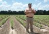 Darrin Dodds, Mississippi State University Extension cotton specialist, says cotton producers remain optimistic about their crop even though planting was frequently interrupted and spread out over a longer period of time. Dodds spoke to producers June 17, 2014 at the Delta Research and Extension Center in Stoneville, Mississippi. (Photo by MSU MAFES/David Ammon)