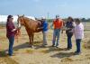 Five people stand around a brown horse in a dirt paddock. One person has her hands on the horse as she listens to its side with a stethoscope. Two women are holding notepads and listening.