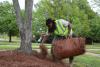 A man in a reflective vest leans over holding a bale of pine straw in one hand while using the other hand to spread pine straw on the ground.