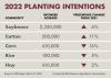 Graphic of planting intentions