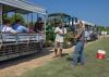 A peanut agronomist shows a group of people a disease-infested peanut plant.