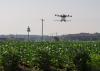 A drone sprays water on crops