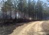 Prescribed burns can reduce the fuel available in forestland, significantly lessening the risk of an unmanaged forest fire. This managed fire was used on Monroe County timberland in February. (Submitted Photo by Matt Walters)