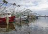 Shrimp boats at rest in the Biloxi Small Craft Harbor in Biloxi, Mississippi, Jan. 25, 2016. (Photo by MSU Extension Service/Kevin Hudson)