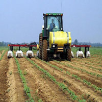 Inorganic Nutrient Management for Cotton Production In Mississippi